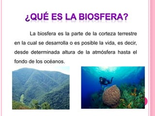 Biosfera | PPTX