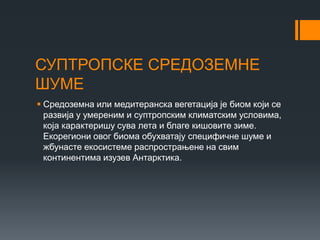 СУПТРОПСКЕ СРЕДОЗЕМНЕ
ШУМЕ
 Средоземна или медитеранска вегетација је биом који се
развија у умереним и суптропским климатским условима,
која карактеришу сува лета и благе кишовите зиме.
Екорегиони овог биома обухватају специфичне шуме и
жбунасте екосистеме распрострањене на свим
континентима изузев Антарктика.
 