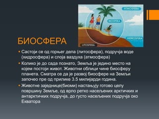 БИОСФЕРА
 Састоји се од горњег дела (литосфера), подручја воде
(хидросфера) и слоја ваздуха (атмосфера)
 Колико је до сада познато, Земља је једино место на
којем постоји живот. Животни облици чине биосферу
планета. Сматра се да је развој биосфере на Земљи
започео пре од прилике 3.5 милијарди година.
 Животне заједнице(биоми) настањују готово целу
површину Земље, од врло ретко насељених арктичких и
антарктичких подручја, до густо насељених подручја око
Екватора
 