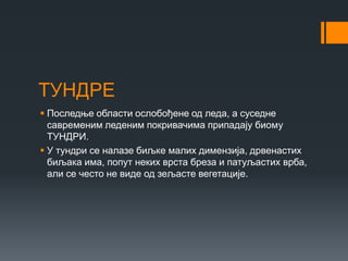 ТУНДРЕ
 Последње области ослобођене од леда, а суседне
савременим леденим покривачима припадају биому
ТУНДРИ.
 У тундри се налазе биљке малих димензија, дрвенастих
биљака има, попут неких врста бреза и патуљастих врба,
али се често не виде од зељасте вегетације.
 
