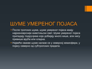 ШУМЕ УМЕРЕНОГ ПОЈАСА
 После тропских шума, шуме умереног појаса имају
најразноврснији животињски свет. Шуме умереног појаса
припадају подручјима која добијају много кише, али нису
превише врућа или хладна.
 Највеће овакве шуме налазе се у северној хемисфери, у
појасу северно од субтропских предела.
 