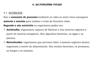 4. AS FUNCIÓNS VITAIS
4.1. NUTRICIÓN
Son o conxunto de procesos mediante os cales os seres vivos conseguen
materia e enerxía para realizar o resto de funcións vitais.
Segundo a súa nutrición os organismos poden ser:
 Autótrofos: organismos capaces de fabricar a súa materia orgánica a
partir de materia inorgánica. Son algunhas bacterias, as algas e as
plantas.
 Heterótrofos: organismos que precisan obter a materia orgánica doutro
organismo a través da alimentación. Son moitas bacterias, os protozoos,
os fungos e os animais.
 