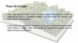 Fluxo de Energia
• Uma das características mais marcantes dos ecossistemas é que os
organismos que os compõem podem ser agrupados de acordo com
seus hábitos alimentares.
• Cada grupo em particular constitui aquilo que costuma se denominar
nível trófico: o lugar onde cada grupo de organismos ocupa em um
determinado ecossistema.
 