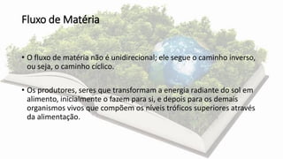 Fluxo de Matéria
• O fluxo de matéria não é unidirecional; ele segue o caminho inverso,
ou seja, o caminho cíclico.
• Os produtores, seres que transformam a energia radiante do sol em
alimento, inicialmente o fazem para si, e depois para os demais
organismos vivos que compõem os níveis tróficos superiores através
da alimentação.
 