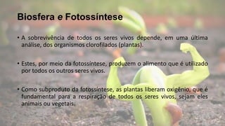 Biosfera e Fotossíntese
• A sobrevivência de todos os seres vivos depende, em uma última
análise, dos organismos clorofilados (plantas).
• Estes, por meio da fotossíntese, produzem o alimento que é utilizado
por todos os outros seres vivos.
• Como subproduto da fotossíntese, as plantas liberam oxigênio, que é
fundamental para a respiração de todos os seres vivos, sejam eles
animais ou vegetais.
 