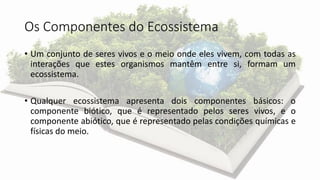 Os Componentes do Ecossistema
• Um conjunto de seres vivos e o meio onde eles vivem, com todas as
interações que estes organismos mantêm entre si, formam um
ecossistema.
• Qualquer ecossistema apresenta dois componentes básicos: o
componente biótico, que é representado pelos seres vivos, e o
componente abiótico, que é representado pelas condições químicas e
físicas do meio.
 