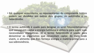 • Em qualquer ecossistema, os representantes do componente biótico
podem ser divididos em outros dois grupos: os autótrofos e os
heterótrofos.
• O termo autótrofo é usado para designar os seres fotossintetizantes
que conseguem captar a energia luminosa e utilizá-la para suprir suas
necessidades energéticas. Já o termo heterótrofo é usado para
denominar os organismos que necessitam captar, do meio onde
vivem, o alimento que lhes forneça energia e matéria-prima para a
sua sobrevivência.
 