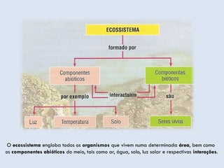 O ecossistema engloba todos os organismos que vivem numa determinada área, bem como
os componentes abióticos do meio, tais como ar, água, solo, luz solar e respectivas interações.
 