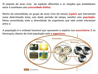 O conjunto de seres vivos de espécies diferentes e as relações que estabelecem
entre si constituem uma comunidade biótica.
Dentro da comunidade, um grupo de seres vivos da mesma espécie que interactuam
numa determinada área, num dado período de tempo, constitui uma população.
Numa comunidade, toda a diversidade de organismos que nela existe interatuam
entre si.
A população é a unidade funcional que representa a espécie num ecossistema. E na
hierarquia, abaixo do nível população está o organismo.
 