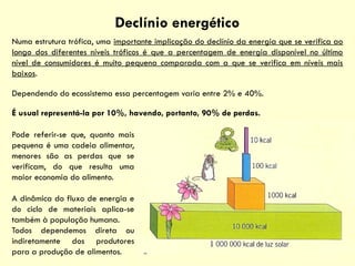 Declínio energético
Numa estrutura trófica, uma importante implicação do declínio da energia que se verifica ao
longo dos diferentes níveis tróficos é que a percentagem de energia disponível no último
nível de consumidores é muito pequena comparada com a que se verifica em níveis mais
baixos.
Dependendo do ecossistema essa percentagem varia entre 2% e 40%.
É usual representá-la por 10%, havendo, portanto, 90% de perdas.
Pode referir-se que, quanto mais
pequena é uma cadeia alimentar,
menores são as perdas que se
verificam, do que resulta uma
maior economia do alimento.
A dinâmica do fluxo de energia e
do ciclo de materiais aplica-se
também à população humana.
Todos dependemos direta ou
indiretamente dos produtores
para a produção de alimentos.
 