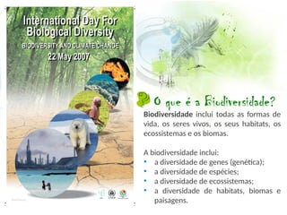 Biodiversidade inclui todas as formas de
vida, os seres vivos, os seus habitats, os
ecossistemas e os biomas.
A biodiversidade inclui:
• a diversidade de genes (genética);
• a diversidade de espécies;
• a diversidade de ecossistemas;
• a diversidade de habitats, biomas e
paisagens.
O que é a Biodiversidade?
 