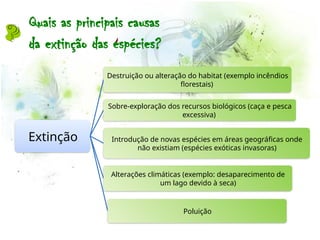 Extinção
Destruição ou alteração do habitat (exemplo incêndios
florestais)
Sobre-exploração dos recursos biológicos (caça e pesca
excessiva)
Introdução de novas espécies em áreas geográficas onde
não existiam (espécies exóticas invasoras)
Alterações climáticas (exemplo: desaparecimento de
um lago devido à seca)
Poluição
Quais as principais causas
da extinção das espécies?
 
