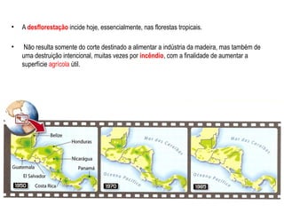 • A desflorestação incide hoje, essencialmente, nas florestas tropicais.
• Não resulta somente do corte destinado a alimentar a indústria da madeira, mas também de
uma destruição intencional, muitas vezes por incêndio, com a finalidade de aumentar a
superfície agrícola útil.
 