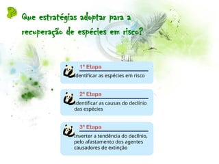 2ª Etapa
Identificar as causas do declínio
das espécies
1ª Etapa
Identificar as espécies em risco
3ª Etapa
Inverter a tendência do declínio,
pelo afastamento dos agentes
causadores de extinção
Que estratégias adoptar para a
recuperação de espécies em risco?
 