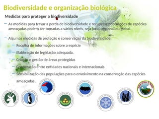 Biodiversidade
Biodiversidade e organização biológica
― As medidas para travar a perda de biodiversidade e recuperar populações de espécies
ameaçadas podem ser tomadas a vários níveis, seja local, regional ou global.
― Algumas medidas de proteção e conservação da biodiversidade:
― Recolha de informações sobre a espécie
― Elaboração de legislação adequada.
― Criação e gestão de áreas protegidas
― Cooperação entre entidades nacionais e internacionais
― Sensibilização das populações para o envolvimento na conservação das espécies
ameaçadas.
Medidas para proteger a biodiversidade
 