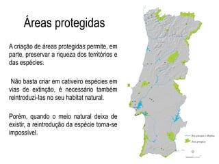 Áreas protegidas
A criação de áreas protegidas permite, em
parte, preservar a riqueza dos territórios e
das espécies.
Não basta criar em cativeiro espécies em
vias de extinção, é necessário também
reintroduzi-Ias no seu habitat natural.
Porém, quando o meio natural deixa de
existir, a reintrodução da espécie torna-se
impossível.
 