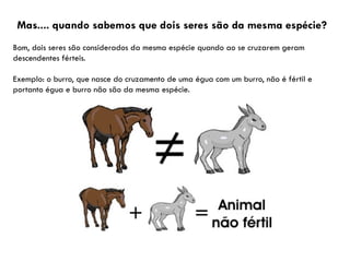 Mas.... quando sabemos que dois seres são da mesma espécie?
Bom, dois seres são considerados da mesma espécie quando ao se cruzarem geram
descendentes férteis.
Exemplo: o burro, que nasce do cruzamento de uma égua com um burro, não é fértil e
portanto égua e burro não são da mesma espécie.
 