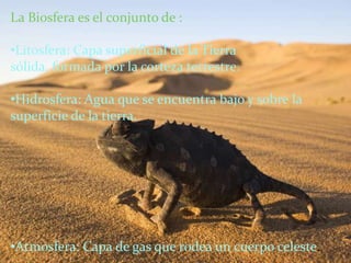 La Biosfera es el conjunto de :

•Litosfera: Capa superficial de la Tierra
sólida, formada por la corteza terrestre.

•Hidrosfera: Agua que se encuentra bajo y sobre la
superficie de la tierra.




•Atmosfera: Capa de gas que rodea un cuerpo celeste.
 