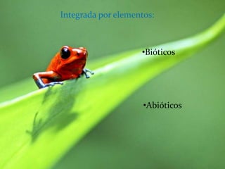 Integrada por elementos:



                    •Bióticos




                     •Abióticos
 