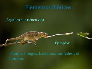 Elementos Bióticos

Aquellos que tienen vida




                           Ejemplos:

 Plantas, hongos, bacterias, animales y el
 hombre.
 