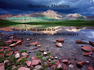 Elementos Abióticos

Aquellos elementos sin vida:


    Energía solar, gases de la
    atmosfera, agua, suelo, relieve, rocas y
    clima.
 