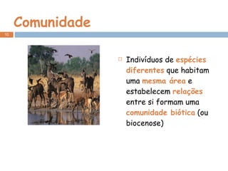 Comunidade Indivíduos de  espécies diferentes  que habitam uma  mesma área  e estabelecem  relações  entre si formam uma  comunidade biótica  (ou biocenose) 