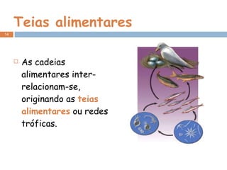 Teias alimentares As cadeias alimentares inter-relacionam-se, originando as  teias alimentares  ou redes tróficas. 
