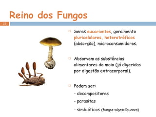 Reino dos Fungos Seres  eucariontes , geralmente  pluricelulares,   heterotróficos  (absorção), microconsumidores. Absorvem as substâncias alimentares do meio (já digeridas por digestão extracorporal). Podem ser: - decompositores - parasitas - simbióticos   (fungos+algas=líquenes)  