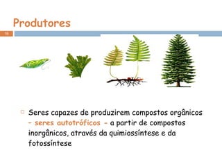 Produtores Seres capazes de produzirem compostos orgânicos  – seres autotróficos -  a partir de compostos inorgânicos, através da quimiossíntese e da fotossíntese 