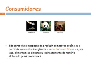 Consumidores São seres vivos incapazes de produzir compostos orgânicos a partir de compostos inorgânicos –  seres heterotróficos  – e, por isso, alimentam-se directa ou indirectamente da matéria elaborada pelos produtores. 