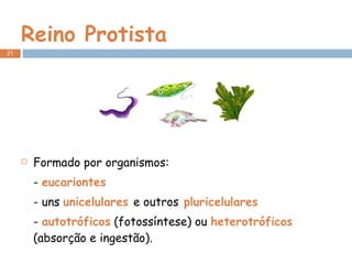 Reino Protista Formado por organismos: -  eucariontes - uns  unicelulares  e outros  pluricelulares -  autotróficos  (fotossíntese) ou  heterotróficos  (absorção e ingestão). 