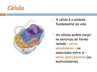 Célula A célula é a unidade fundamental da vida. As células podem surgir na natureza de forma isolada -  seres unicelulares  – ou associadas entre si –  seres pluricelulares  (ou multicelulares) 