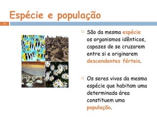 Espécie e população São da mesma  espécie  os organismos idênticos, capazes de se cruzarem entre si e originarem  descendentes férteis . Os seres vivos da mesma espécie que habitam uma determinada área constituem uma  população .  