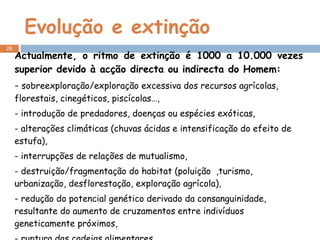 Evolução e extinção Actualmente, o ritmo de extinção é 1000 a 10.000 vezes superior devido à acção directa ou indirecta do Homem: -  sobreexploração/exploração excessiva dos recursos agrícolas, florestais, cinegéticos, piscícolas…, - introdução de predadores, doenças ou espécies exóticas, - alterações climáticas (chuvas ácidas e intensificação do efeito de estufa), - interrupções de relações de mutualismo, - destruição/fragmentação do habitat (poluição  ,turismo, urbanização, desflorestação, exploração agrícola), - redução do potencial genético derivado da consanguinidade, resultante do aumento de cruzamentos entre indivíduos geneticamente próximos, - ruptura das cadeias alimentares… 