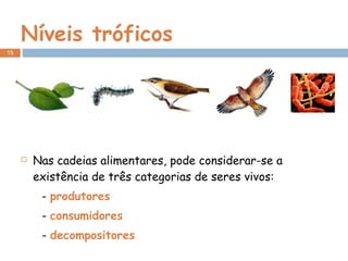 Níveis tróficos Nas cadeias alimentares, pode considerar-se a existência de três categorias de seres vivos: -  produtores -  consumidores -  decompositores 