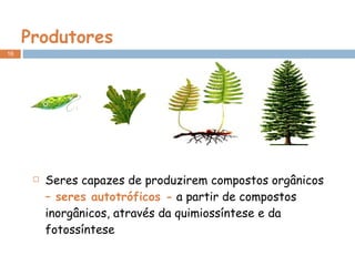 Produtores Seres capazes de produzirem compostos orgânicos  – seres autotróficos -  a partir de compostos inorgânicos, através da quimiossíntese e da fotossíntese 