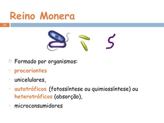 Reino Monera Formado por organismos: procariontes   unicelulares,  autotróficos  (fotossíntese ou quimiossíntese) ou  heterotróficos  (absorção),  microconsumidores 
