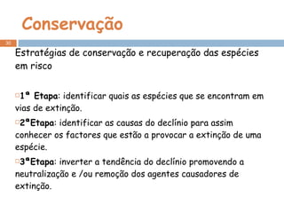 Conservação Estratégias de conservação e recuperação das espécies em risco 1ª Etapa : identificar quais as espécies que se encontram em vias de extinção. 2ªEtapa : identificar as causas do declínio para assim conhecer os factores que estão a provocar a extinção de uma espécie. 3ªEtapa : inverter a tendência do declínio promovendo a neutralização e /ou remoção dos agentes causadores de extinção. 