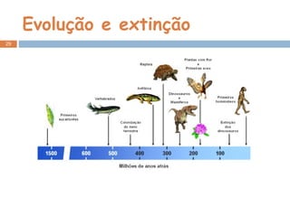 Evolução e extinção 