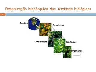 Organização hierárquica dos sistemas biológicos 