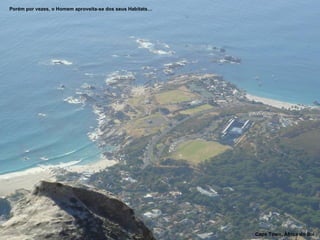 Porém por vezes, o Homem aproveita-se dos seus Habitats… Cape Town, Àfrica do Sul 