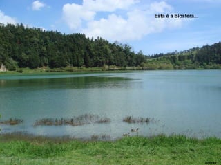 Esta é a Biosfera … Açores 