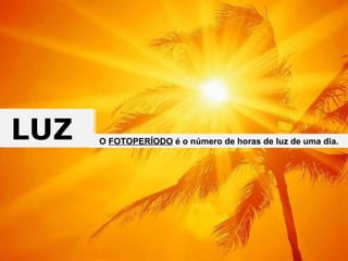 LUZ  O  FOTOPERÍODO  é o número de horas de luz de uma dia. 