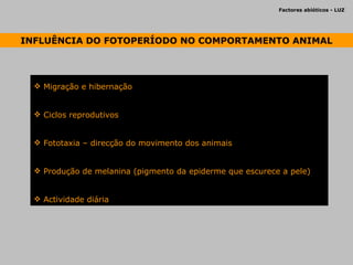 Factores abióticos - LUZ  INFLUÊNCIA DO FOTOPERÍODO NO COMPORTAMENTO ANIMAL Migração e hibernação Ciclos reprodutivos Fototaxia – direcção do movimento dos animais Produção de melanina (pigmento da epiderme que escurece a pele) Actividade diária 