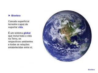 Biosfera  