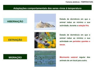 Factores abióticos - TEMPERATURA  Adaptações comportamentais dos seres vivos à temperatura HIBERNAÇÃO ESTIVAÇÃO Estado de dormência em que o animal reduz ao mínimo a sua actividade, durante a  estação fria . Estado de dormência em que o animal reduz ao mínimo a sua actividade em  períodos quentes e secos . MIGRAÇÃO Movimento sazonal  regular dos animais de um local para outro. 