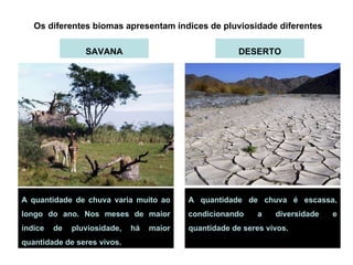 Os diferentes biomas apresentam índices de pluviosidade diferentes SAVANA DESERTO A quantidade de chuva varia muito ao longo do ano. Nos meses de maior índice de pluviosidade, há maior quantidade de seres vivos.  A quantidade de chuva é escassa, condicionando a diversidade e quantidade de seres vivos.  