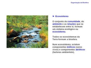 Organização da Biosfera  