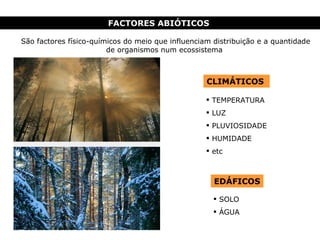 FACTORES ABIÓTICOS  São factores físico-químicos do meio que influenciam distribuição e a quantidade de organismos num ecossistema CLIMÁTICOS  EDÁFICOS TEMPERATURA LUZ PLUVIOSIDADE HUMIDADE etc SOLO ÁGUA 