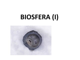 BIOSFERA (I)

 